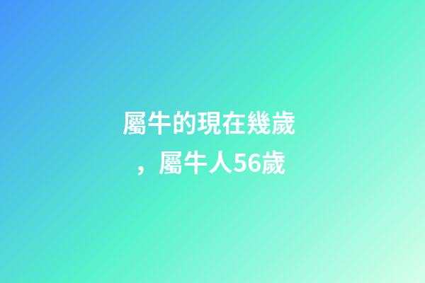 屬牛的現在幾歲，屬牛人56歲-第1張-觀點-玄機派